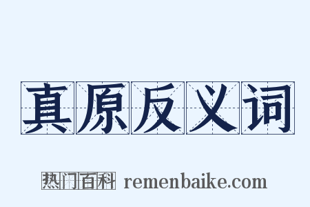 真原反义词是什么意思的图片